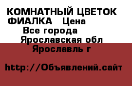 КОМНАТНЫЙ ЦВЕТОК -ФИАЛКА › Цена ­ 1 500 - Все города  »    . Ярославская обл.,Ярославль г.